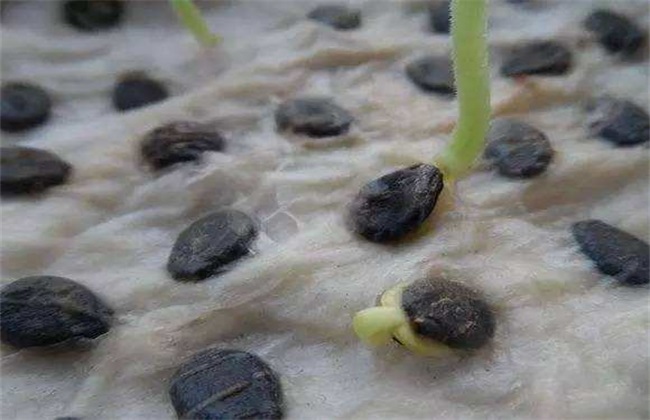 保温