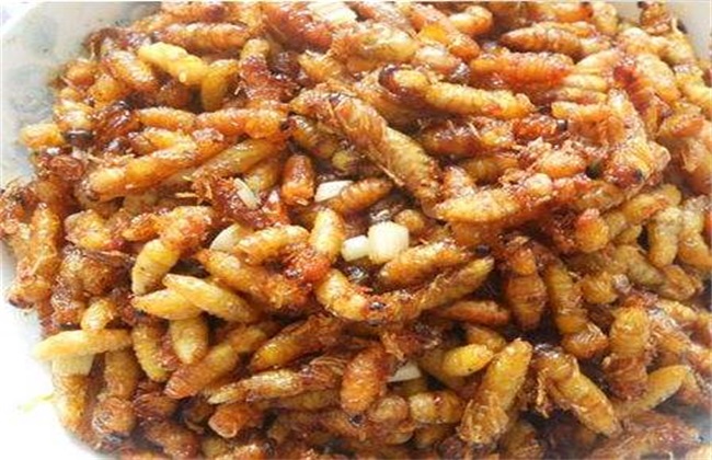 食用