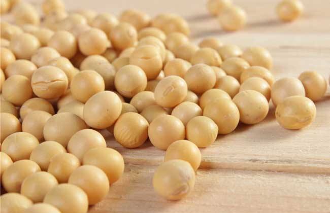 黄豆多少钱一斤 黄豆价格