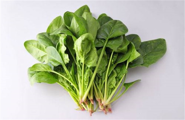 秋天种什么蔬菜 秋季蔬菜种植