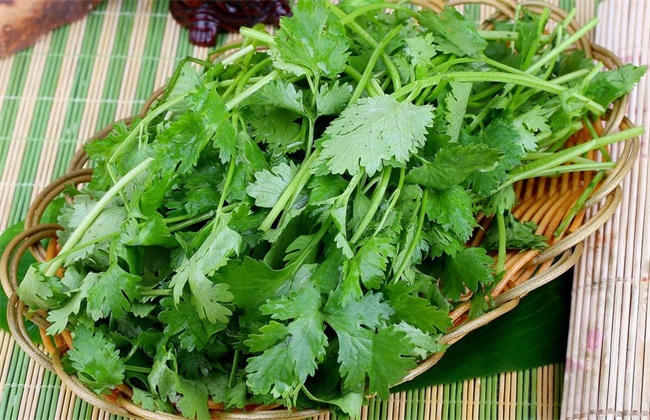 秋天种什么蔬菜 秋季蔬菜种植