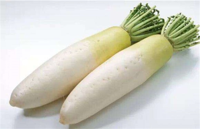 秋天种什么蔬菜 秋季蔬菜种植