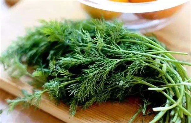 秋天种什么蔬菜 秋季蔬菜种植