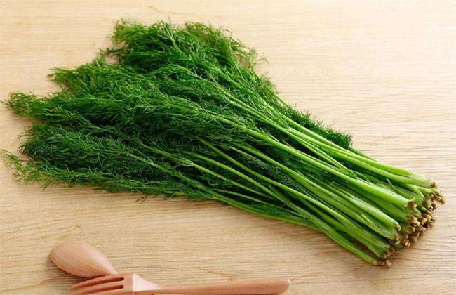秋天种什么蔬菜 秋季蔬菜种植