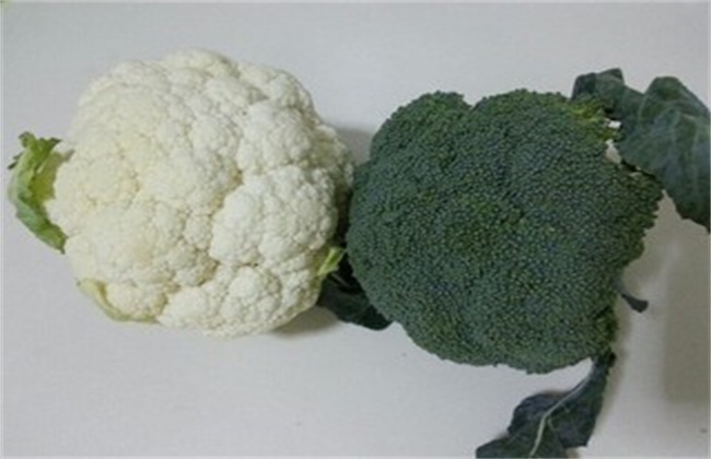 花椰菜和西兰花区别