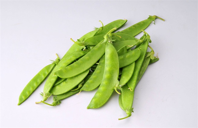 秋季种植什么 秋季蔬菜种植