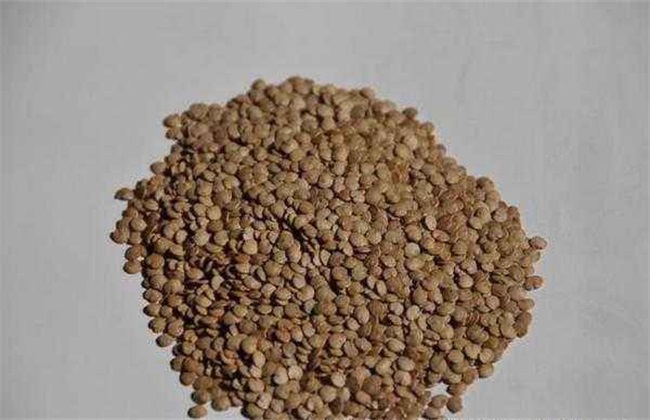 茄子种子催芽方法 茄子催芽
