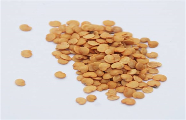 茄子种子催芽方法 茄子催芽