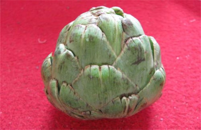 洋蓟多少钱一斤