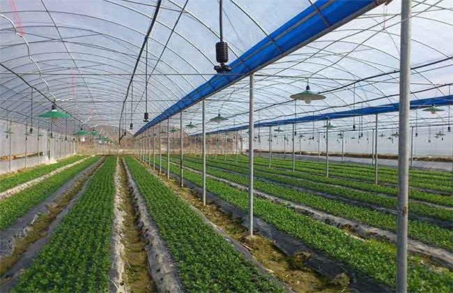 肥料 常见施用方式