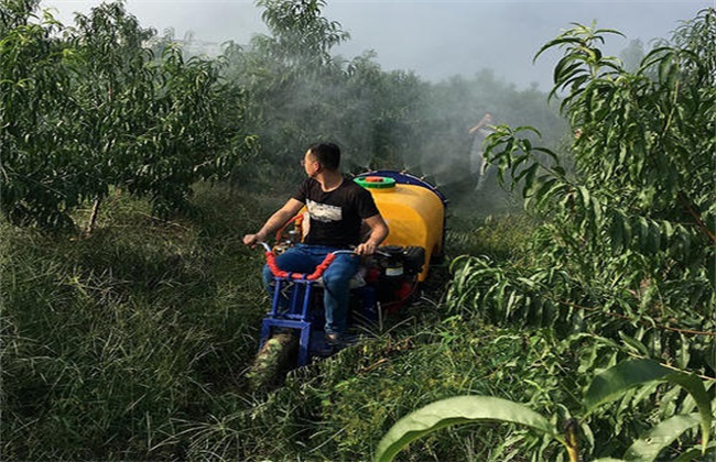 果园 开春旋耕 好不好