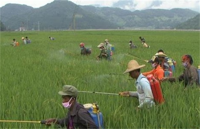 化肥与农药 区别