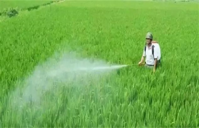 化肥与农药 区别