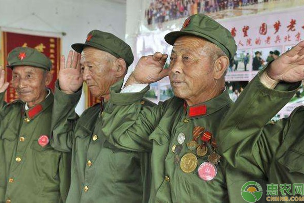全面施行！2020农村籍老义务兵迎来政策红利！