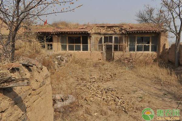 外嫁女土地权益问题找什么部门？需要什么材料？