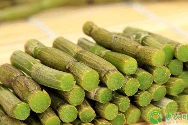 这8种中药材需求大，价格年年涨，适合农村发展种植！