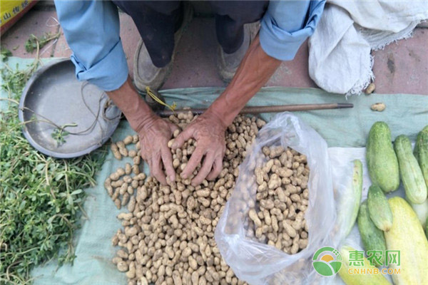 农村摆摊卖什么赚钱？这几种生意利润高，销量大！