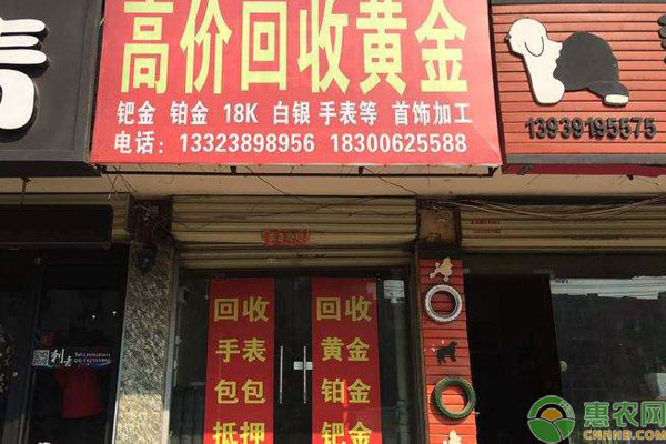 2020年在农村如何赚钱？这些金点子值得一试！