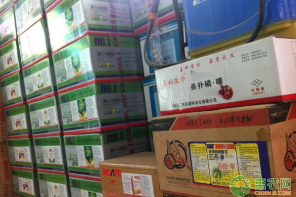农民怎么创业致富？这几个创业项目值得考虑！