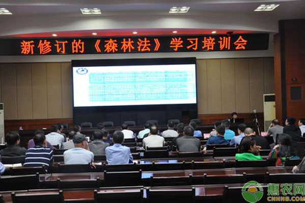 新森林法将于7月1日正式实施，这些新变化建议你提前了解！
