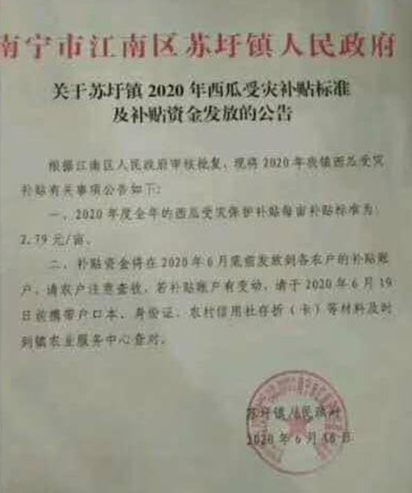 南宁受灾瓜田每亩补贴2.79元！后续会加大补贴力度吗？