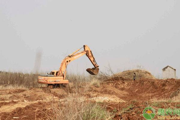 明年农村可能要拆除这四种建筑，村民们注意了！