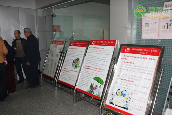 下半年社保迎来5个变化，哪些人将受益？