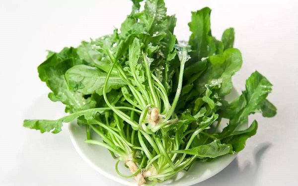 什么蔬菜可以养肝护肝，哪些蔬菜对肝部比较好