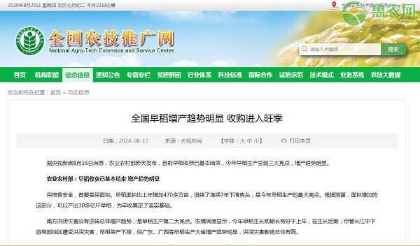 全国早稻增产趋势明显 收购进入旺季