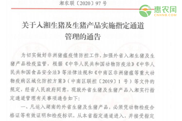 关于入湘生猪及生猪产品实施指定通道管理的通告