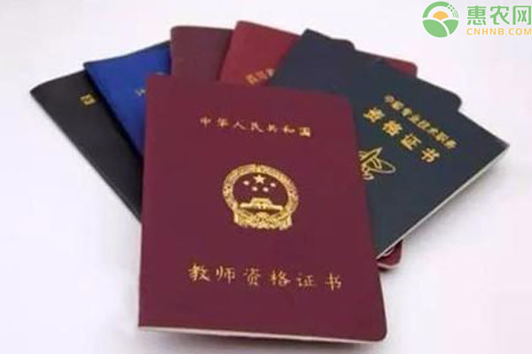 教育部明确了！这些人可免试认定教师资格！
