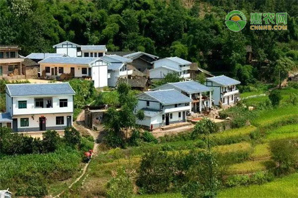 农村耕地上建房算不算违建？