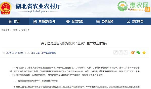 湖北省关于防范连阴雨抓好抓实“三秋”生产的工作提示