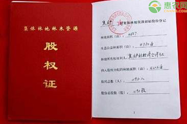 确权证和股权证的区别