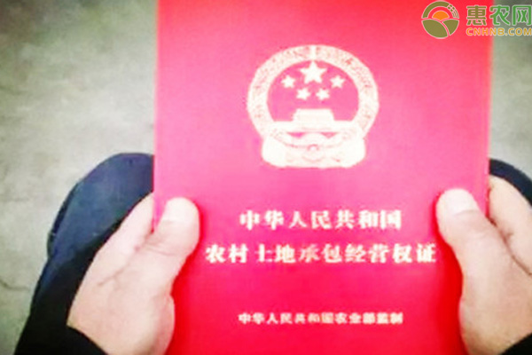 宅基地确权写谁的名字比较合适？