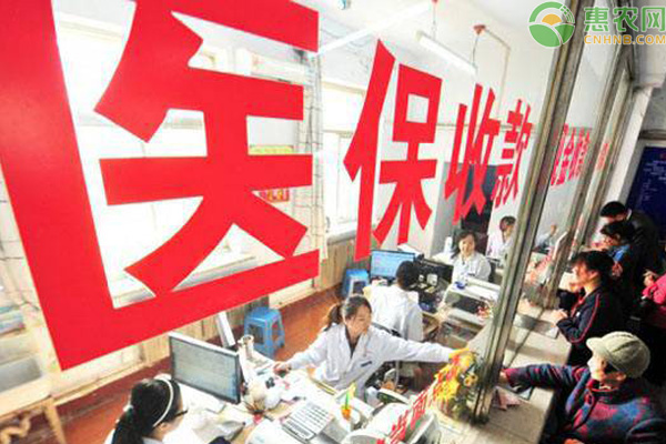 新农保交哪个档次的最划算？怎么参保？