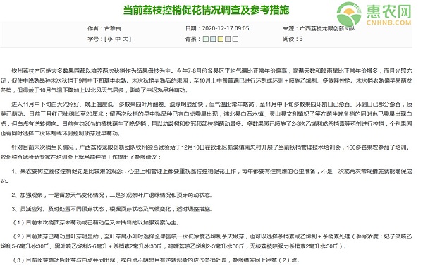 广西当前荔枝控梢促花情况调查及参考措施