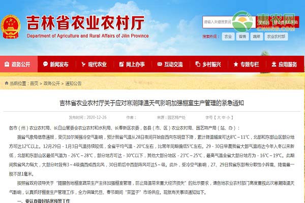 吉林省农业农村厅关于寒潮降温天气影响加强棚室生产通知