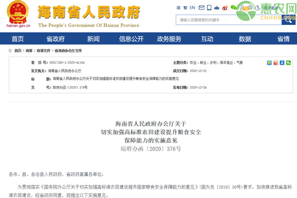 海南省关于切实加强高标准农田建设提升粮食安全保障能力