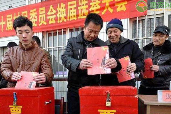 2021村书记一肩挑政策解读