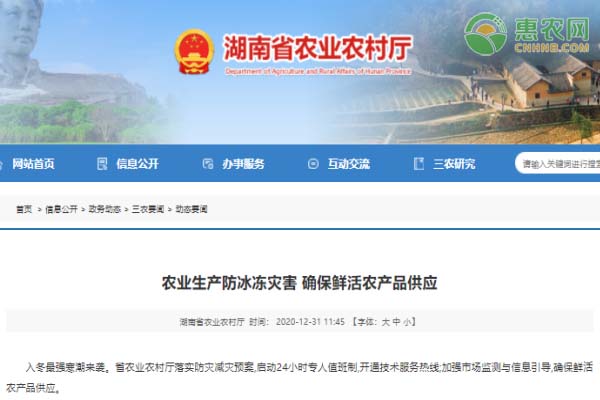 农业生产防冰冻灾害 确保鲜活农产品供应
