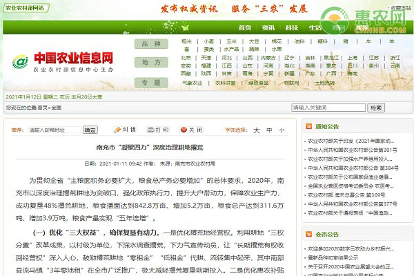南充市“凝聚四力”深度治理耕地撂荒