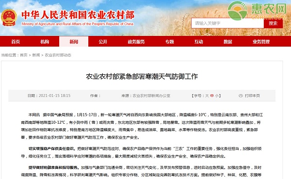 农业农村部紧急部署寒潮天气防御工作