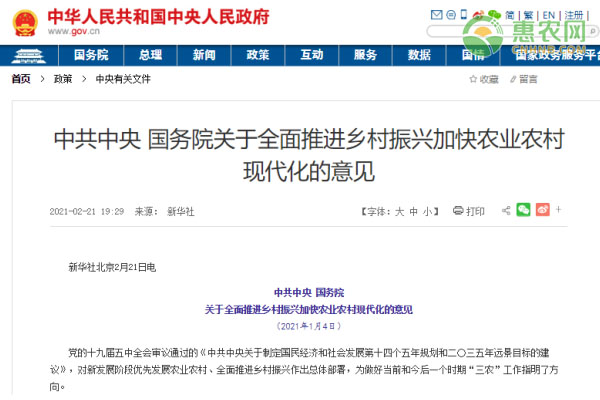中央一号文件发布，2021农业发展方向是什么？有哪些新亮点