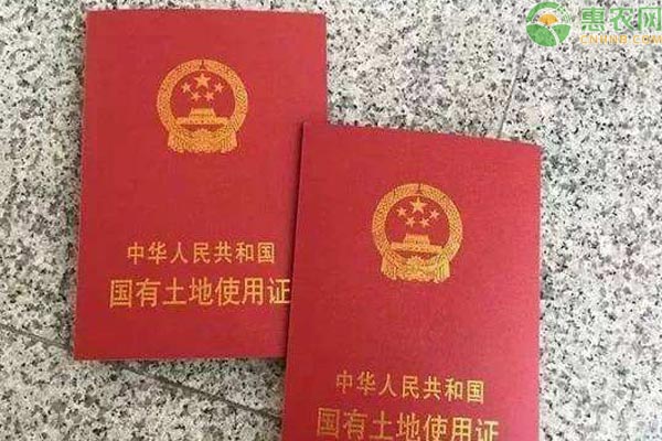 2021年山西宅基地证下发时间