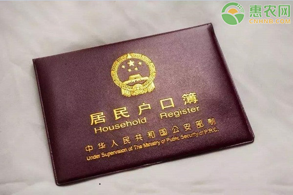 户口本分户怎么办理？分户要满足什么条件？