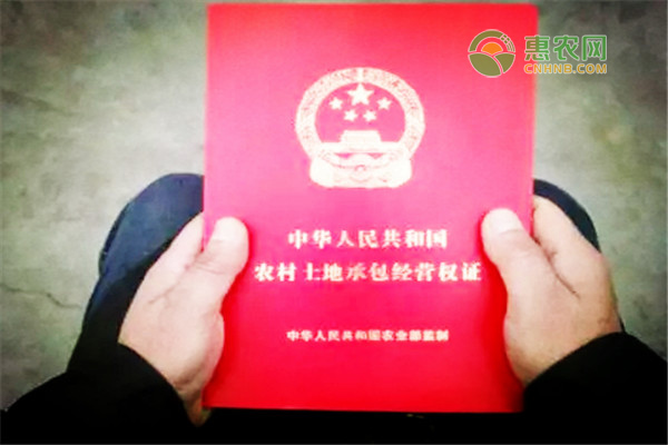 确权证和宅基地证有什么区别？