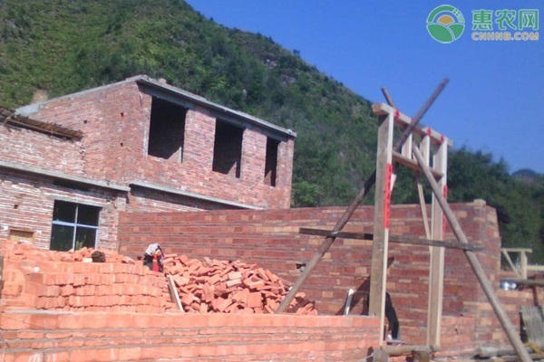 退出农村宅基地，能买养老保险吗？怎样办理？