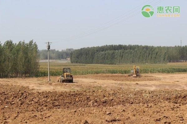 农村户口迁城市户口后家里土地怎么处理？