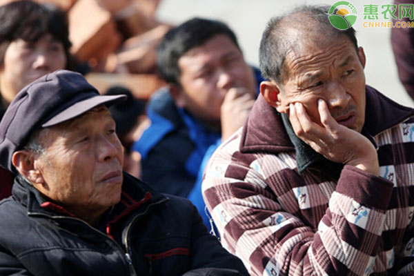 2021无地农民国家补贴政策